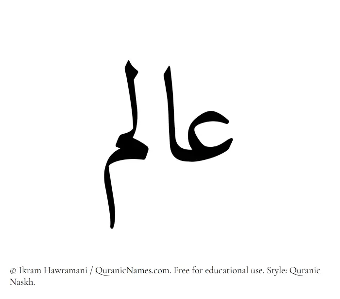 The Muslim name Aalam written in Quranic naskh script