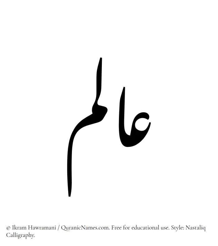 The Muslim name word Aalam written in Nastaliq calligraphic script