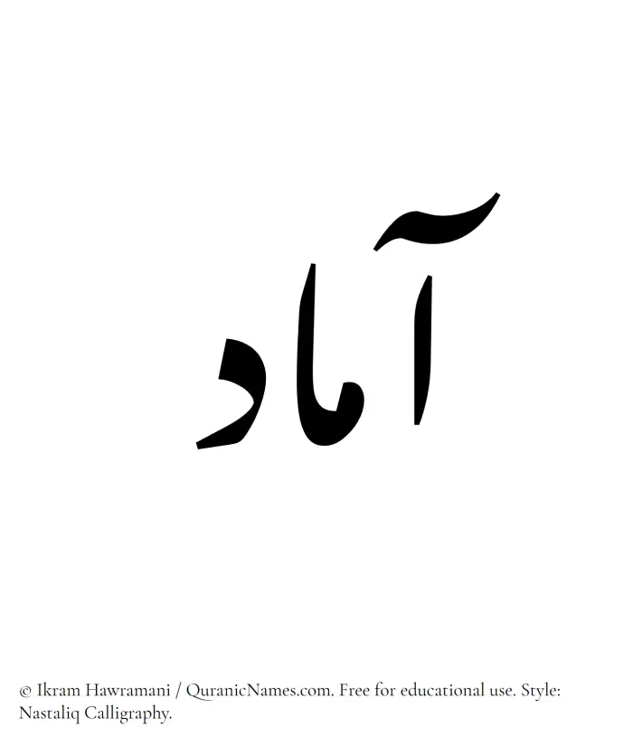 The Muslim name word Aamad written in Nastaliq calligraphic script