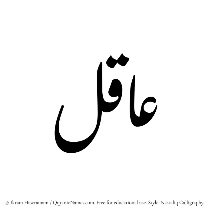 The Muslim name word Aaqil written in Nastaliq calligraphic script