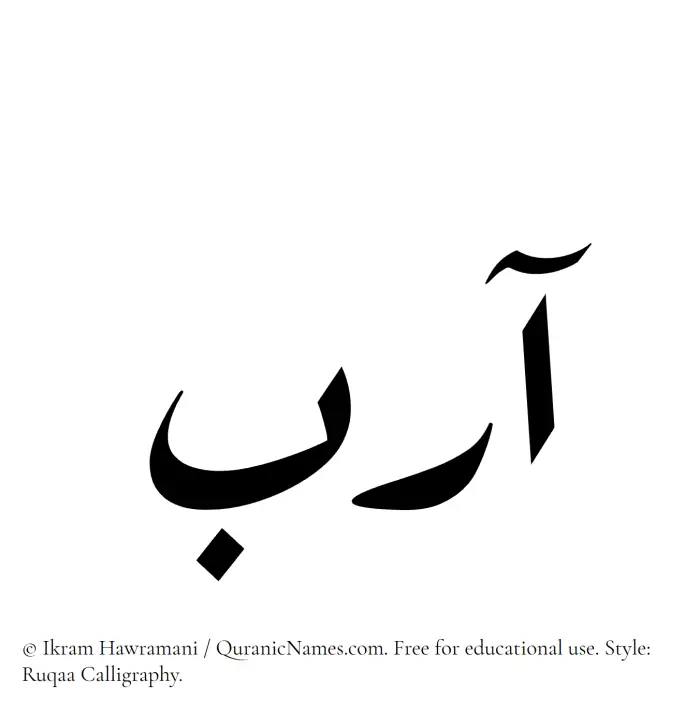 The Muslim name Aarib written in Ruqaa calligraphic script