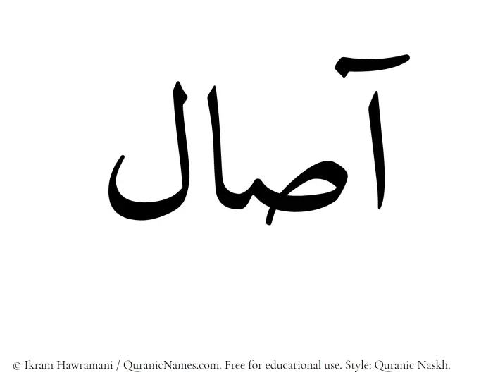 The Muslim name Aasal written in Quranic naskh script