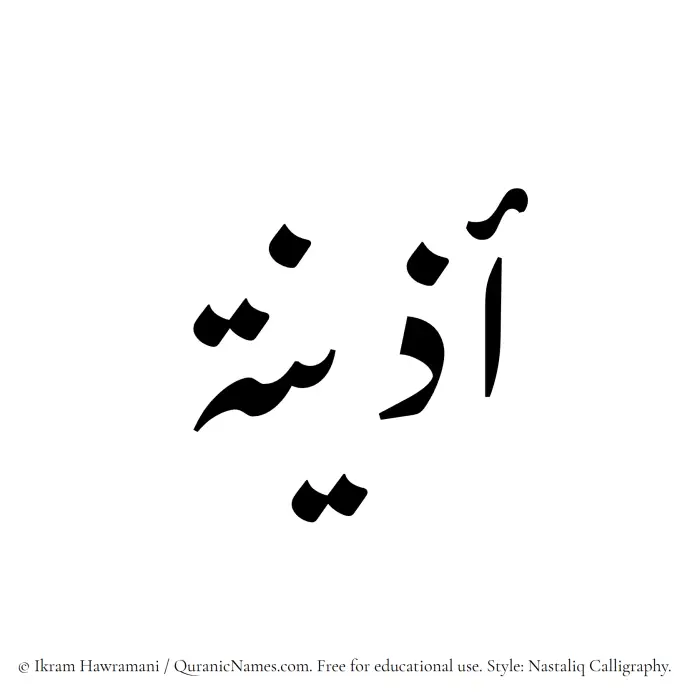 The Muslim name word Adeena written in Nastaliq calligraphic script