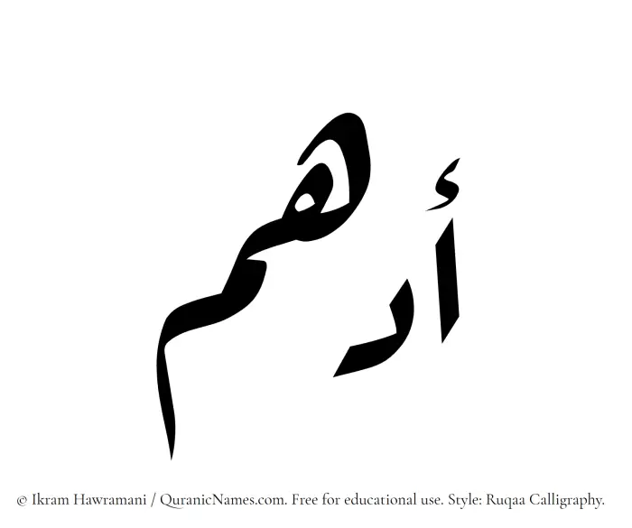 The Muslim name Adham written in Ruqaa calligraphic script