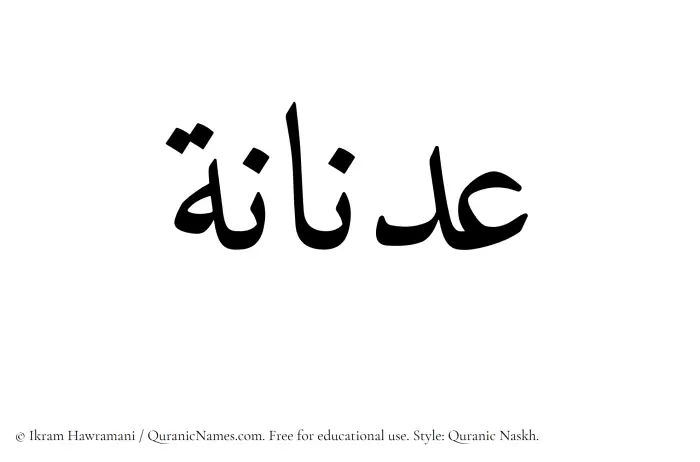 The Muslim name Adnanah written in Quranic naskh script