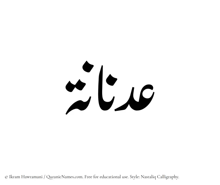 The Muslim name word Adnanah written in Nastaliq calligraphic script