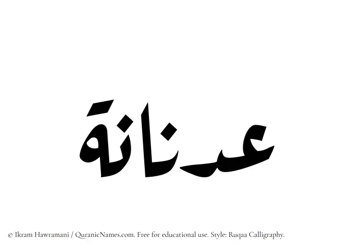 The Muslim name Adnanah written in Ruqaa calligraphic script