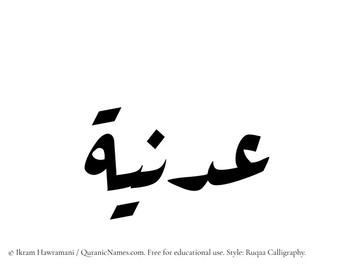 The Muslim name Adniyyah written in Ruqaa calligraphic script