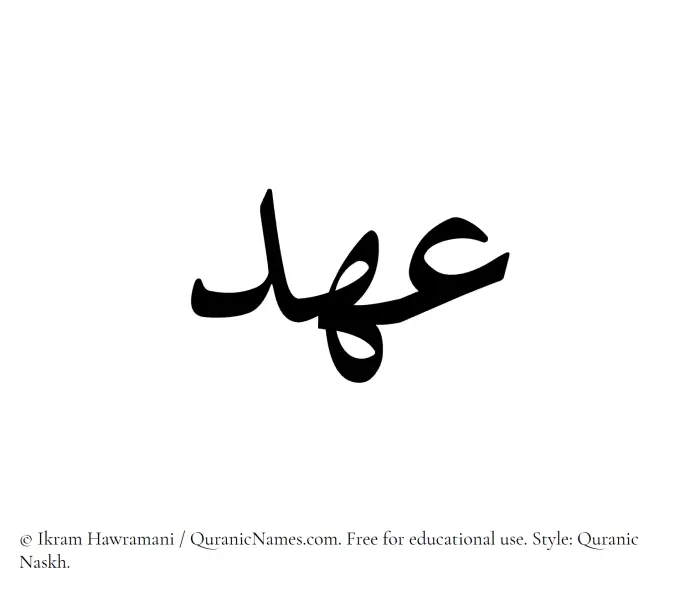 The Muslim name Ahd written in Quranic naskh script