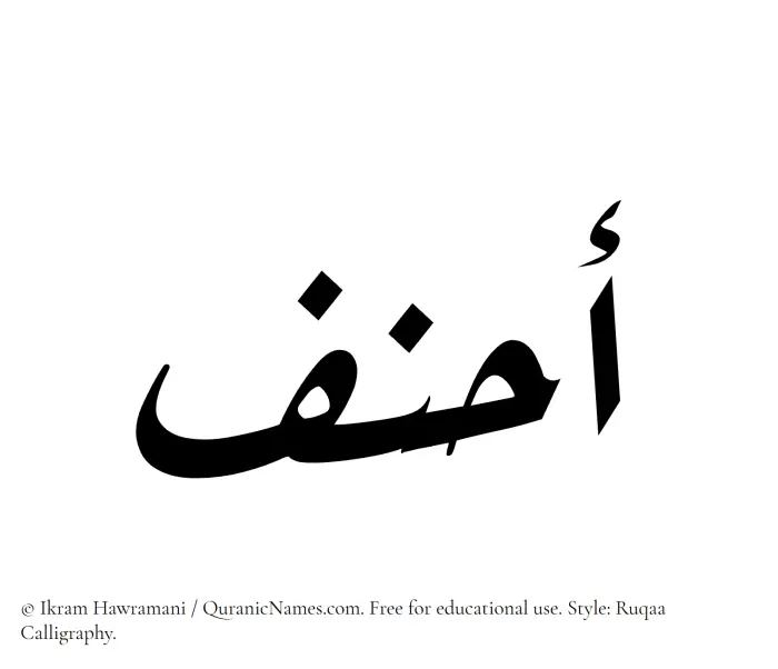 The Muslim name Ahnaf written in Ruqaa calligraphic script