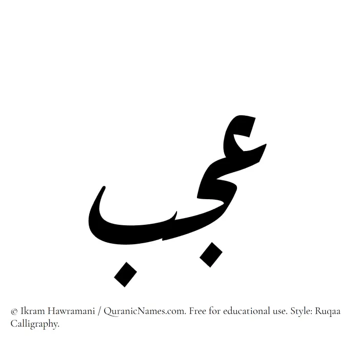The Muslim name Ajab written in Ruqaa calligraphic script