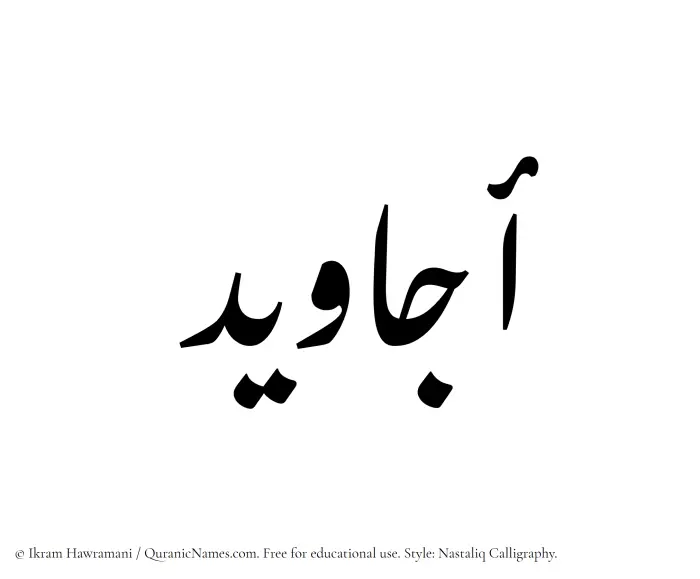 The Muslim name word Ajaweed written in Nastaliq calligraphic script
