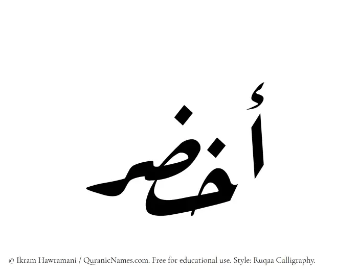 The Muslim name Akhzar written in Ruqaa calligraphic script