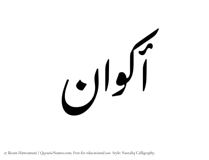 The Muslim name word Akwan written in Nastaliq calligraphic script