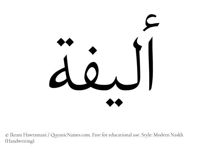 The Muslim name Aleefa written in naskh script