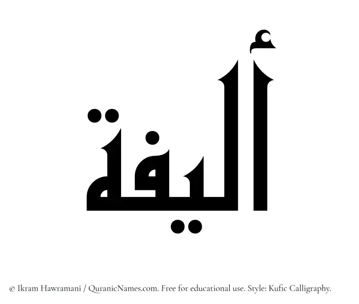 The Muslim name Aleefa written in Kufi/Kufic calligraphic script