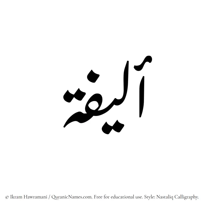 The Muslim name word Aleefa written in Nastaliq calligraphic script