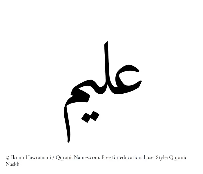 The Muslim name Aleem written in Quranic naskh script