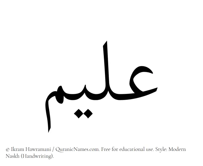 The Muslim name Aleem written in naskh script