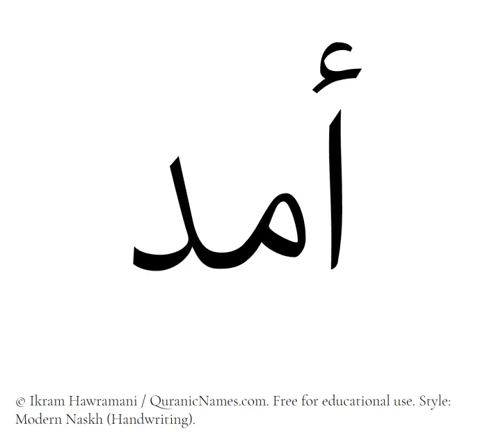 The Muslim name Amad written in naskh script