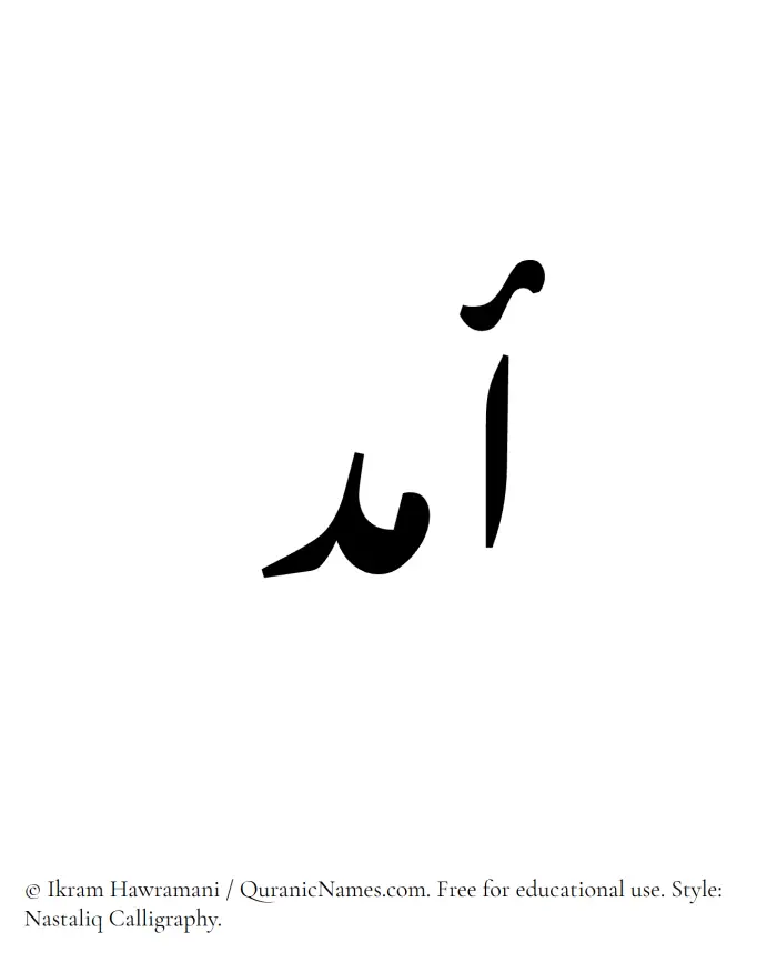 The Muslim name word Amad written in Nastaliq calligraphic script