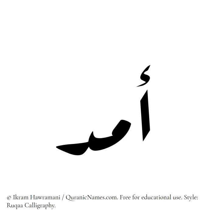 The Muslim name Amad written in Ruqaa calligraphic script