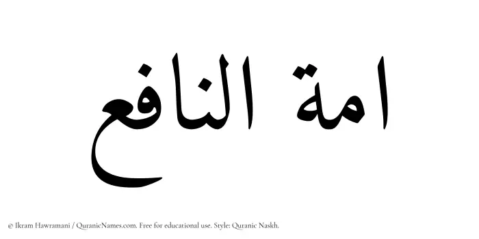 The Muslim name Ammatun Naafe written in Quranic naskh script
