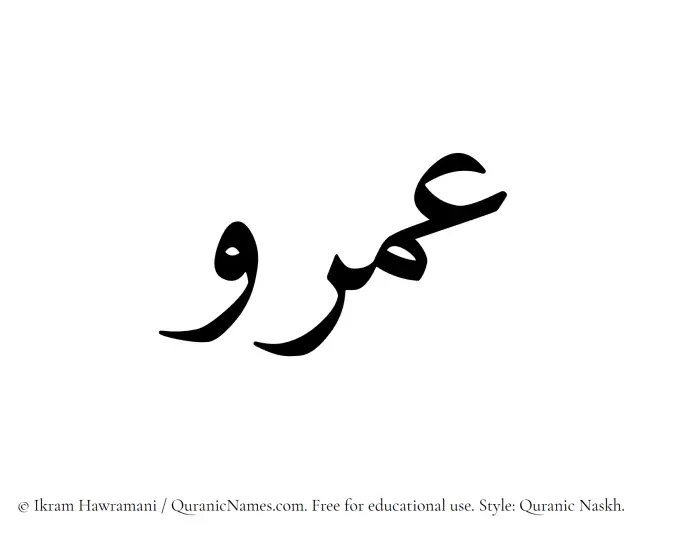 The Muslim name Amr written in Quranic naskh script