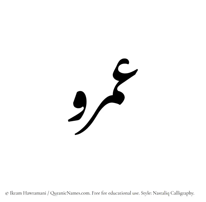 The Muslim name word Amr written in Nastaliq calligraphic script