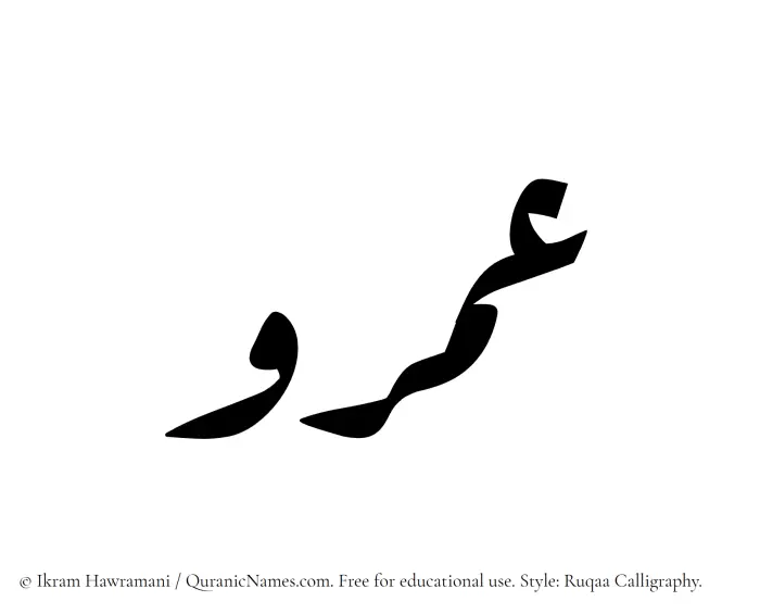 The Muslim name Amr written in Ruqaa calligraphic script