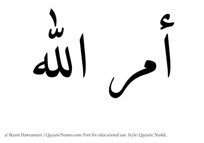 The Muslim name Amrullah written in Quranic naskh script