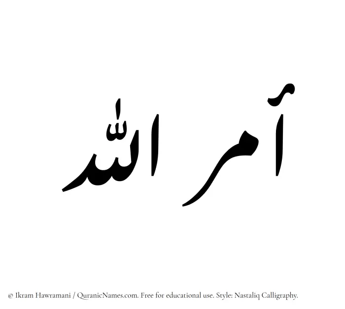 The Muslim name word Amrullah written in Nastaliq calligraphic script