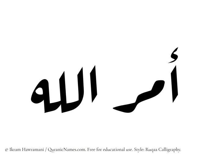 The Muslim name Amrullah written in Ruqaa calligraphic script
