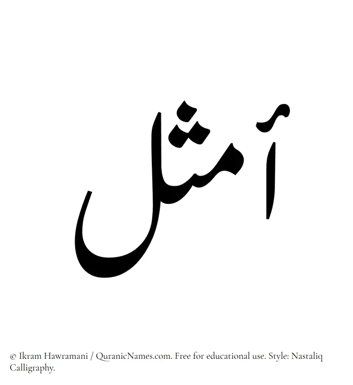 The Muslim name word Amsal written in Nastaliq calligraphic script
