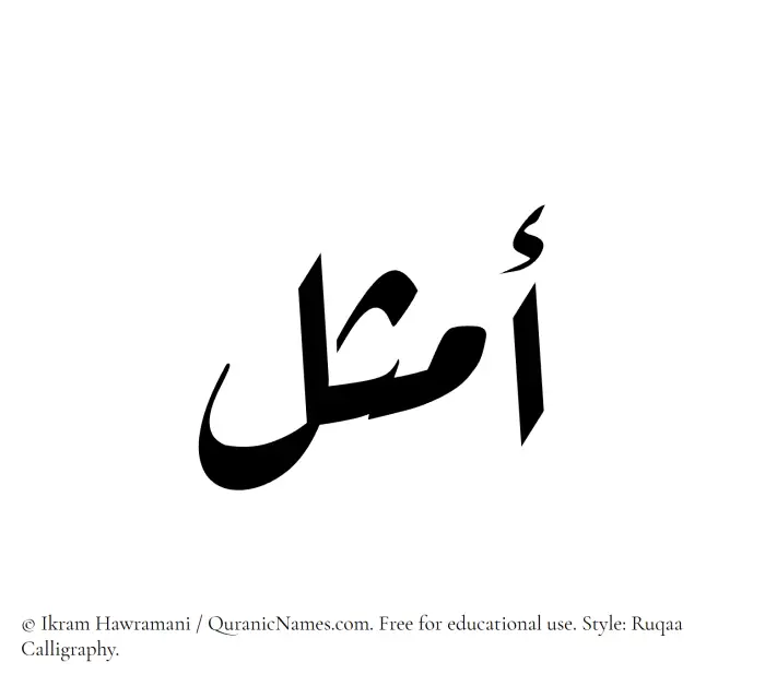The Muslim name Amsal written in Ruqaa calligraphic script