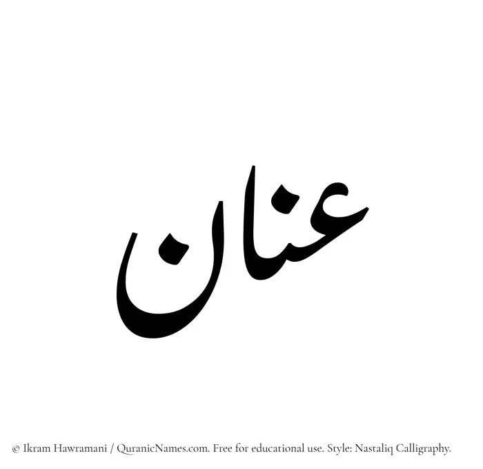The Muslim name word Anan written in Nastaliq calligraphic script