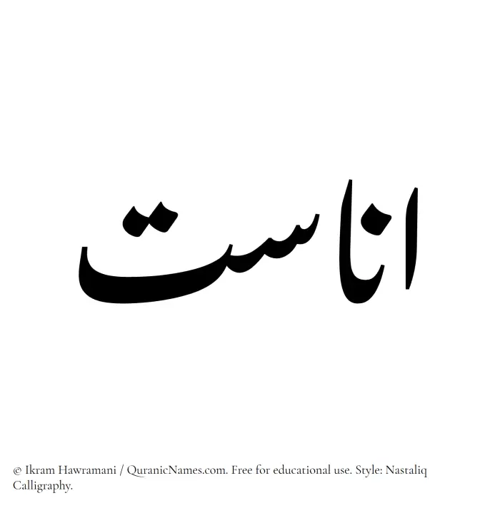 The Muslim name word Anasat written in Nastaliq calligraphic script