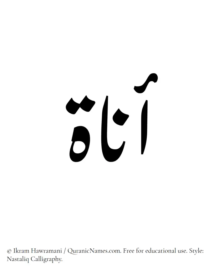 The Muslim name word Anat written in Nastaliq calligraphic script
