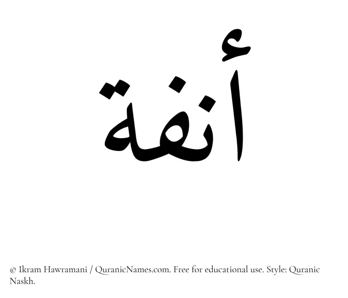 The Muslim name Anfa written in Quranic naskh script