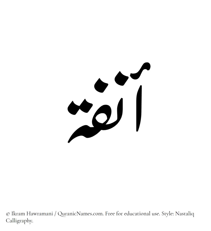 The Muslim name word Anfa written in Nastaliq calligraphic script
