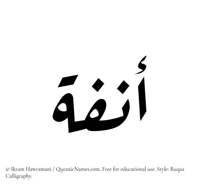 The Muslim name Anfa written in Ruqaa calligraphic script