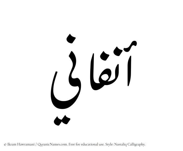 The Muslim name word Anfani written in Nastaliq calligraphic script