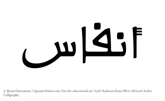 The Muslim name Anfas written in Rubutun Kano calligraphic script