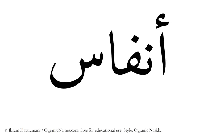 The Muslim name Anfas written in Quranic naskh script