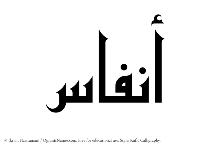 The Muslim name Anfas written in Kufi/Kufic calligraphic script