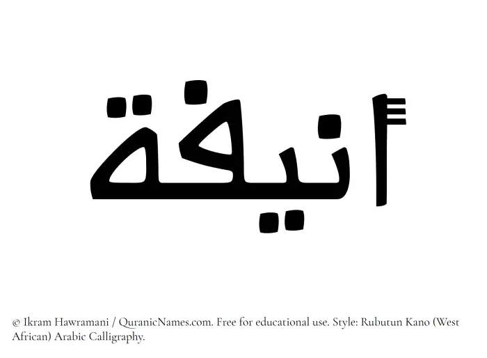 The Muslim name Anifa written in Rubutun Kano calligraphic script