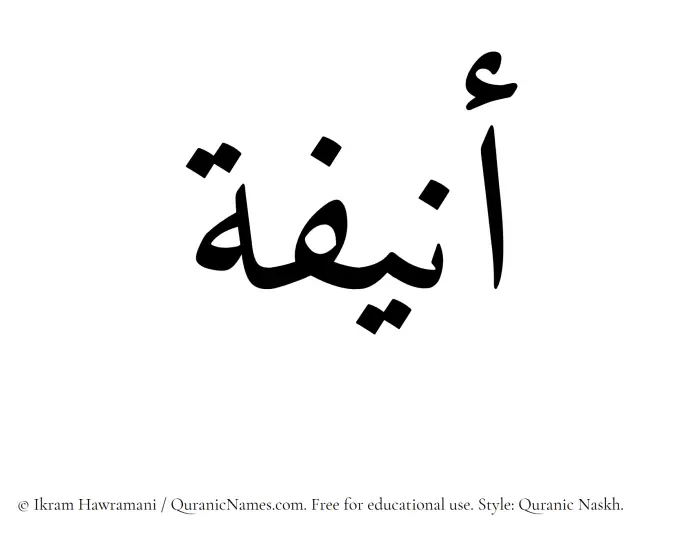 The Muslim name Anifa written in Quranic naskh script