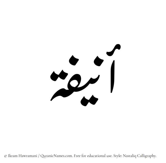 The Muslim name word Anifa written in Nastaliq calligraphic script