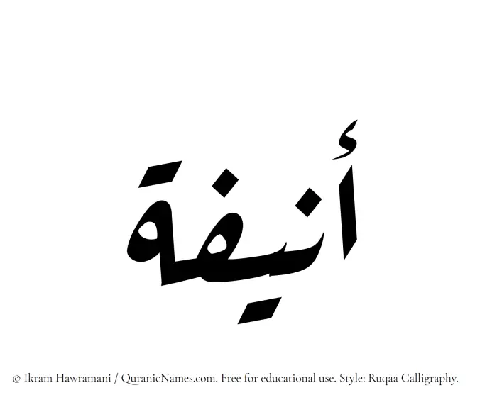 The Muslim name Anifa written in Ruqaa calligraphic script