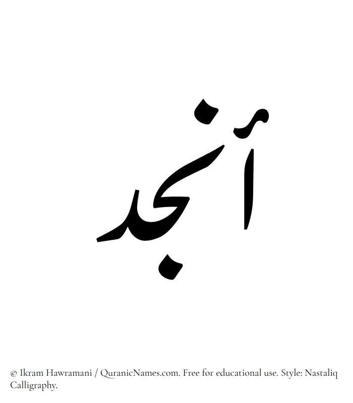 The Muslim name word Anjud written in Nastaliq calligraphic script